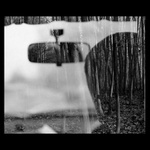 :Auto v lese/Les v autě: