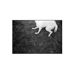 Ähreköpfer nr. zwo