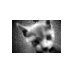 Nacht Jäger mit loužička