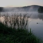 ...ráno na vodě II...