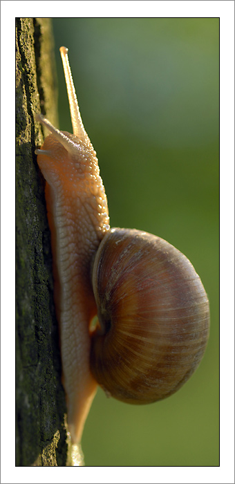 To je strmák!!!