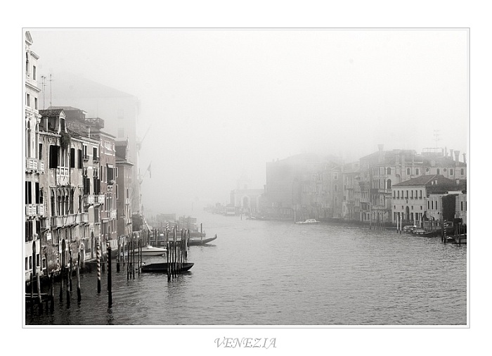 VENEZIA