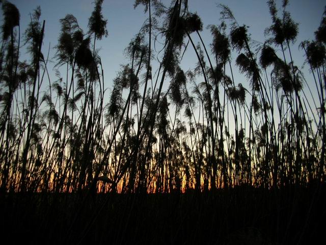 After sunset
