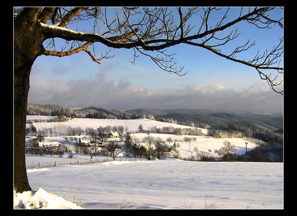 Dobrošov