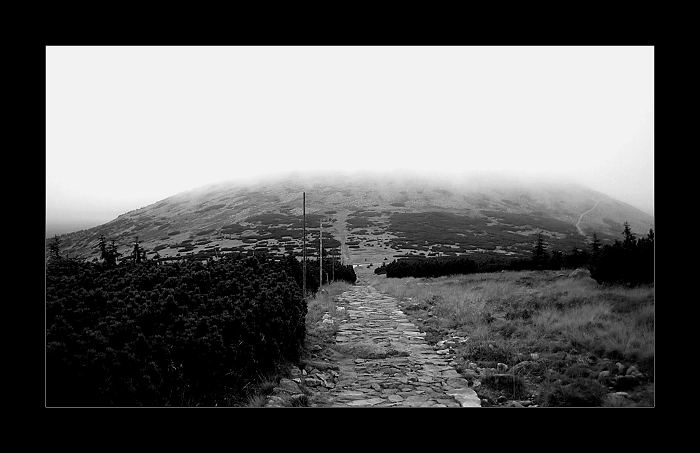 Mlhavá budoucnost