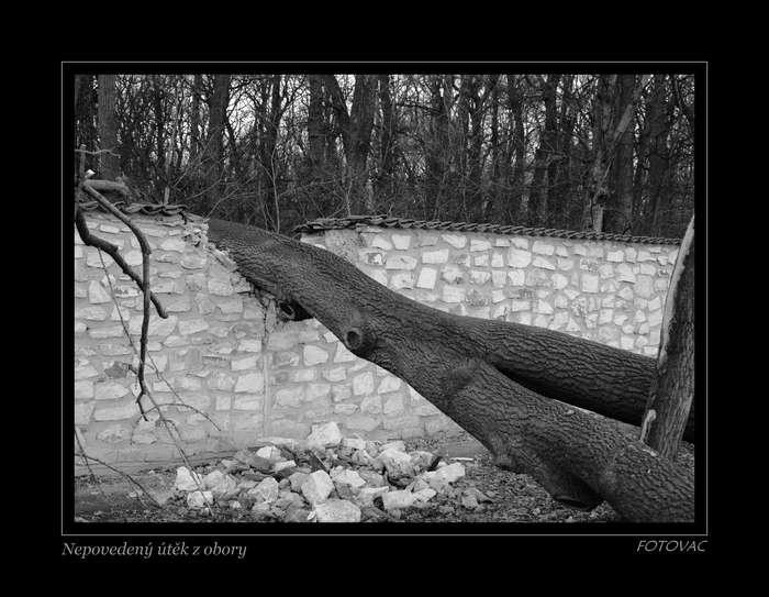 Některé útěky bolí.
