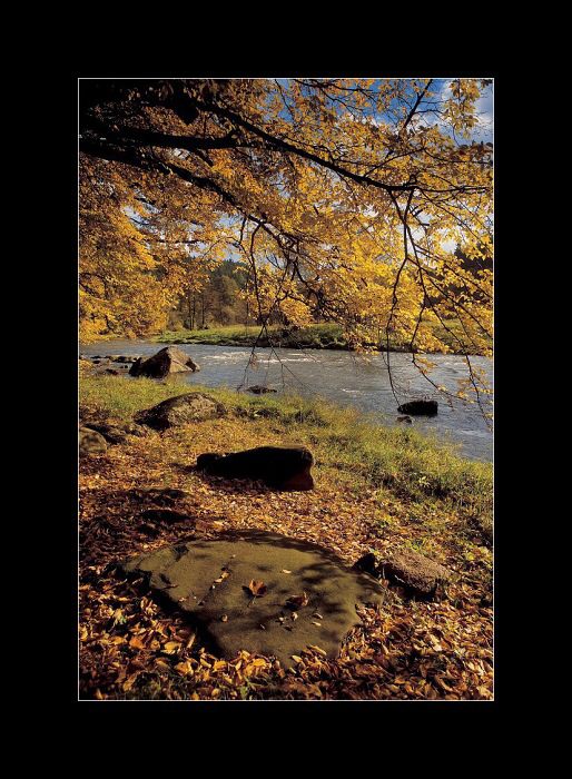 Stvořidla