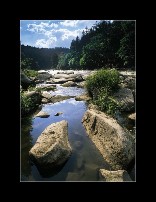 Stvořidla