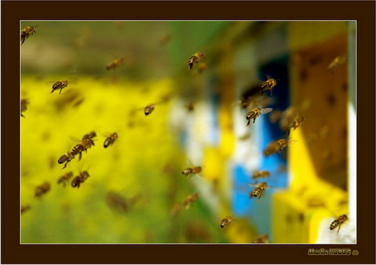 A máme po šichte....