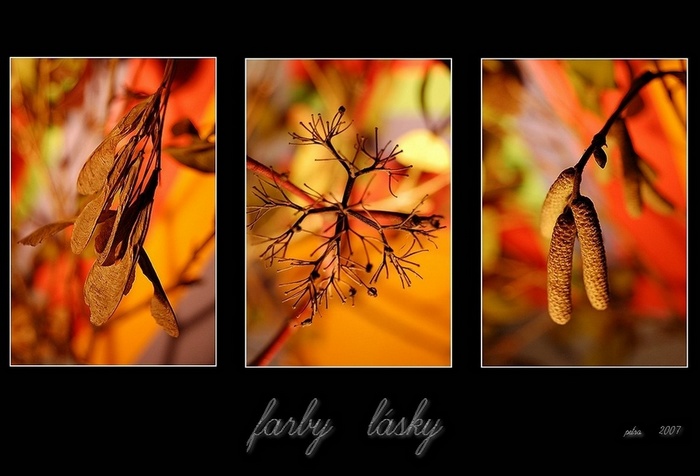 ... farby lásky ...