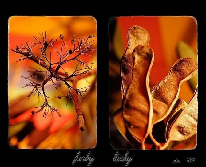 ... farby lásky ...