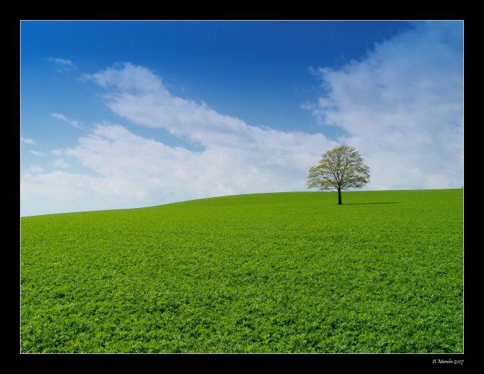 windows
