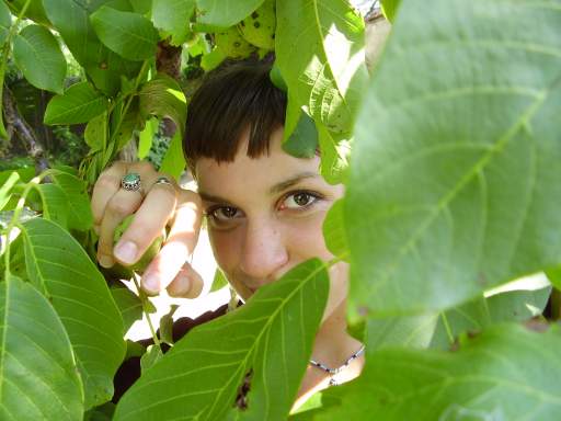 V prírode