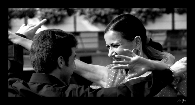 flamenco