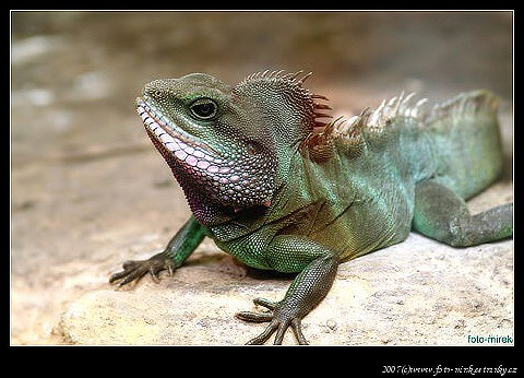 ZOO Olomouc