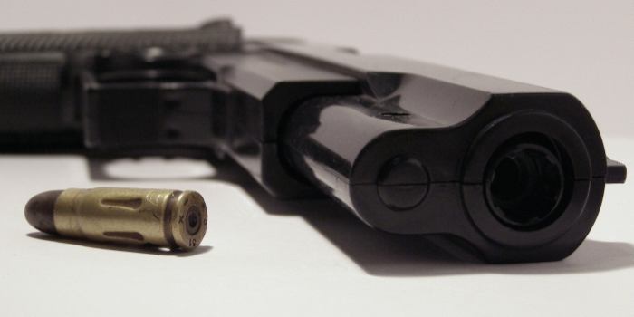 Gun
