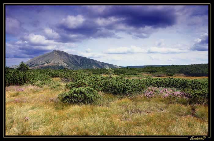 krkonose