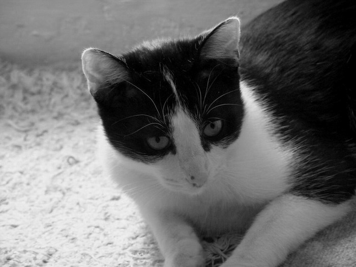 My Darling :)