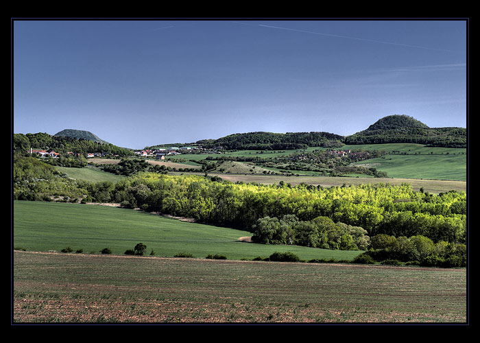 Mezi Oblíkem a Milou