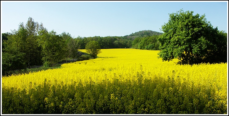 V Českém sředohoří