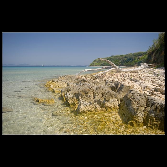 Susak