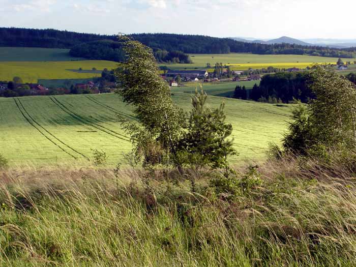 Zvánovice