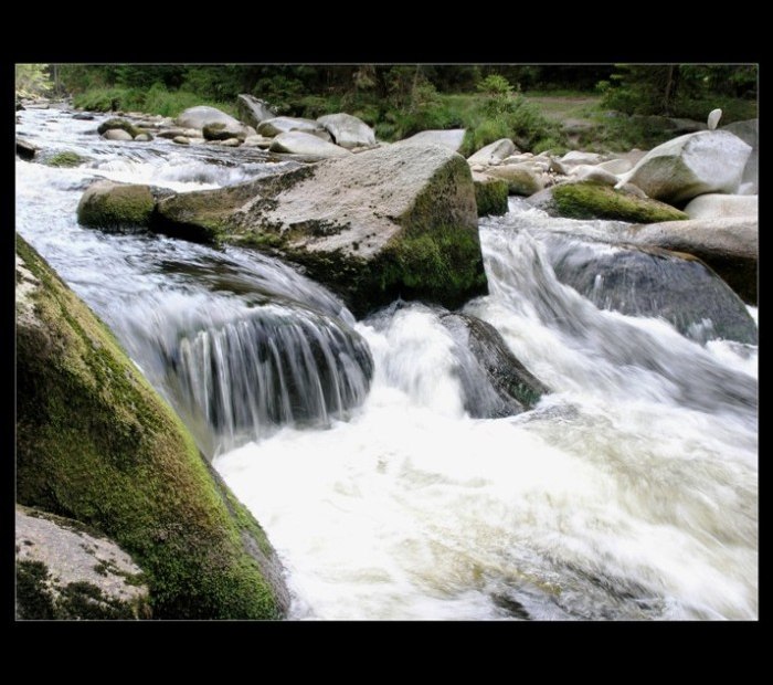 Šumava-Vydra