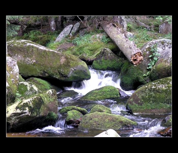 Šumava-Vydra II.