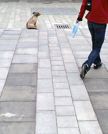 - kratky pribeh na dlazbe -