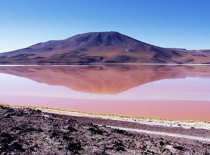 Laguna Colorada