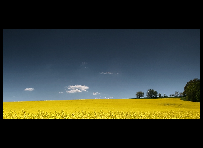 Olbramice I