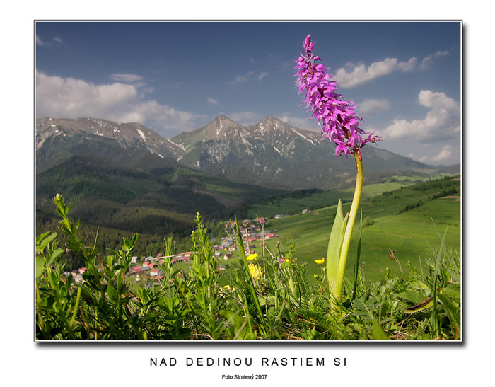 Nad dedinou rastiem si