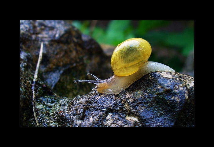 :.: