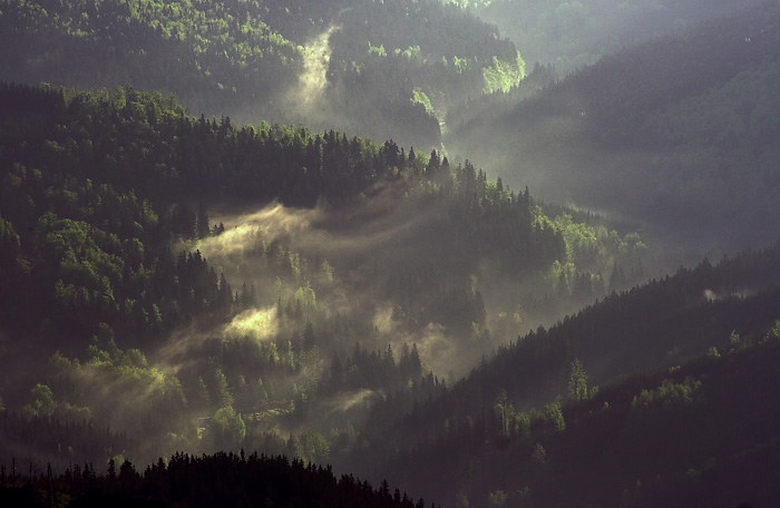 Rozpousteni smetany nad lesy