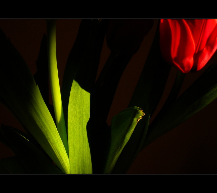 nepatříme k sobě...