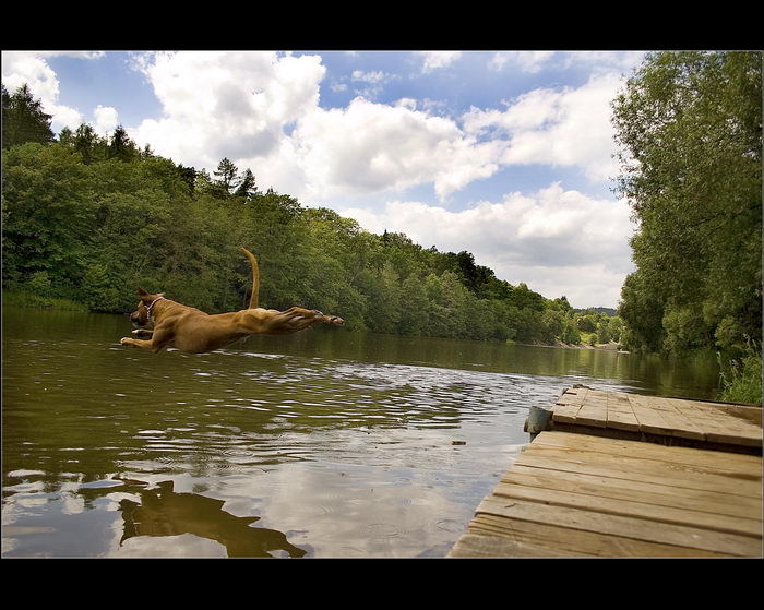 rozeběh a  hop