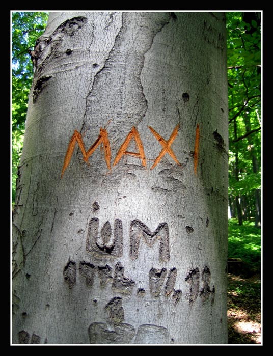 Maxi Blbec..