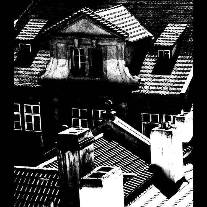 roofs