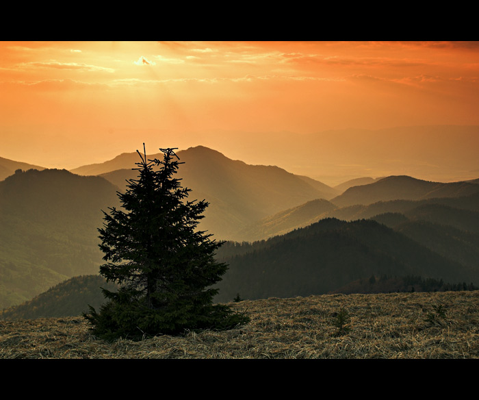Velka fatra