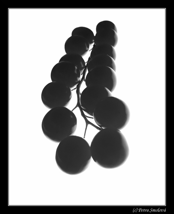 .: 15 :.