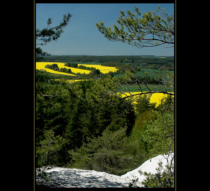 ***Řepkové Plzeňsko II.***