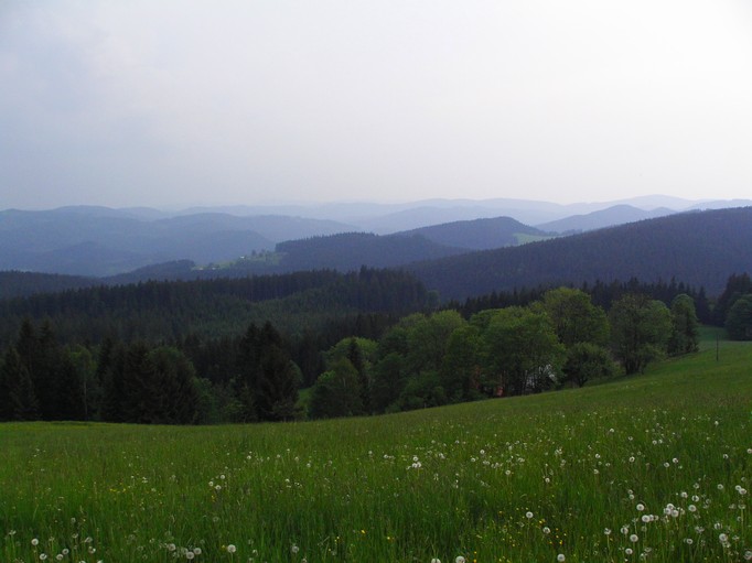 Nejistota na obzoru