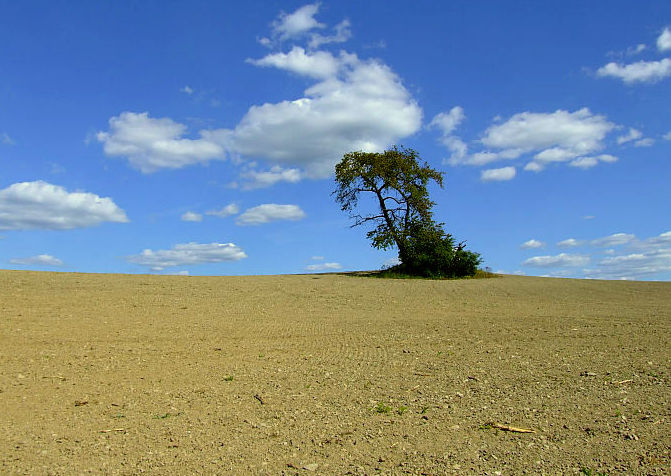 Samotář