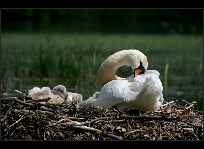 Čas odpočinku(pšššt nerušit)
