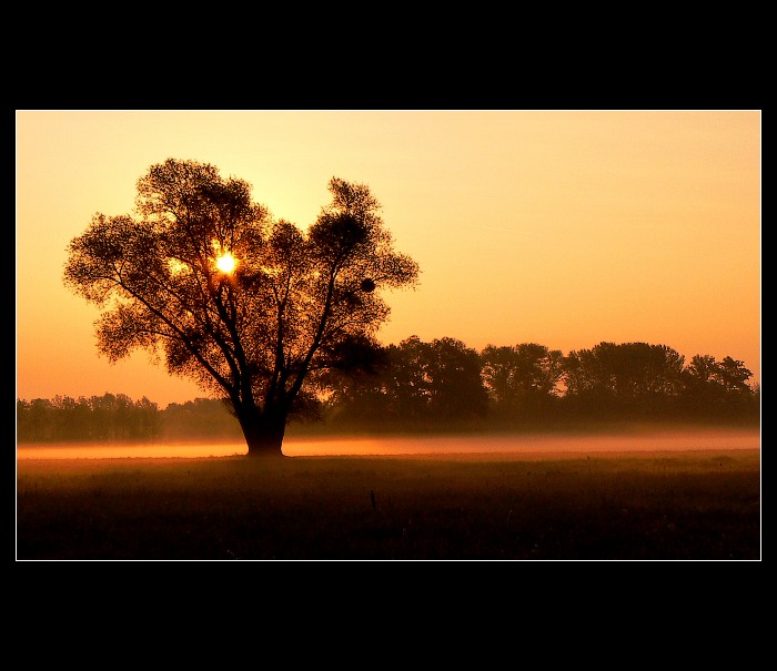 ..:: Temné ráno ::..
