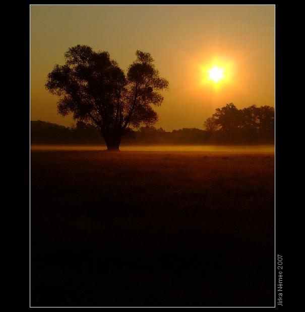 .: Dark Sunrise :.