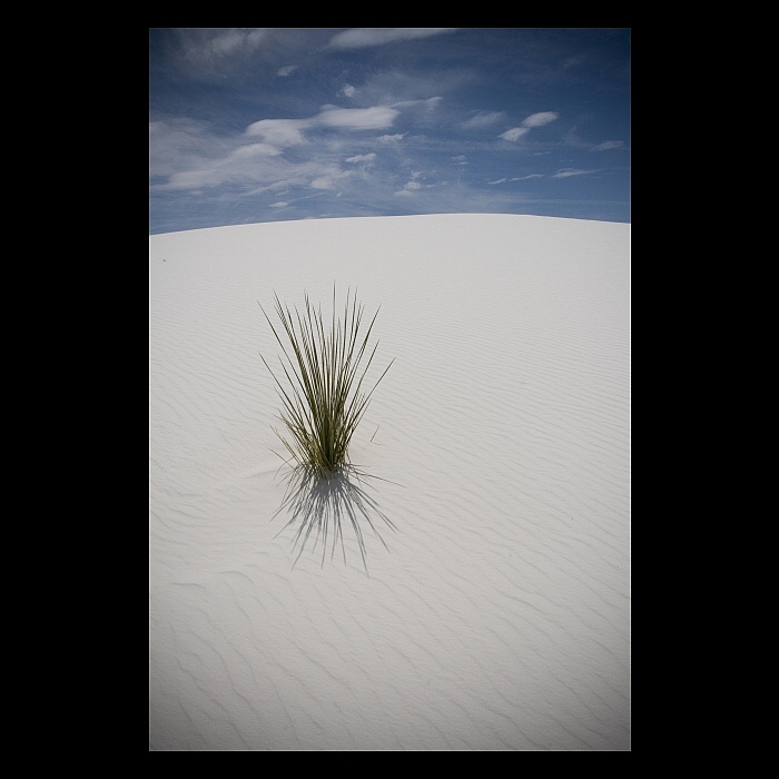 White Sands NP