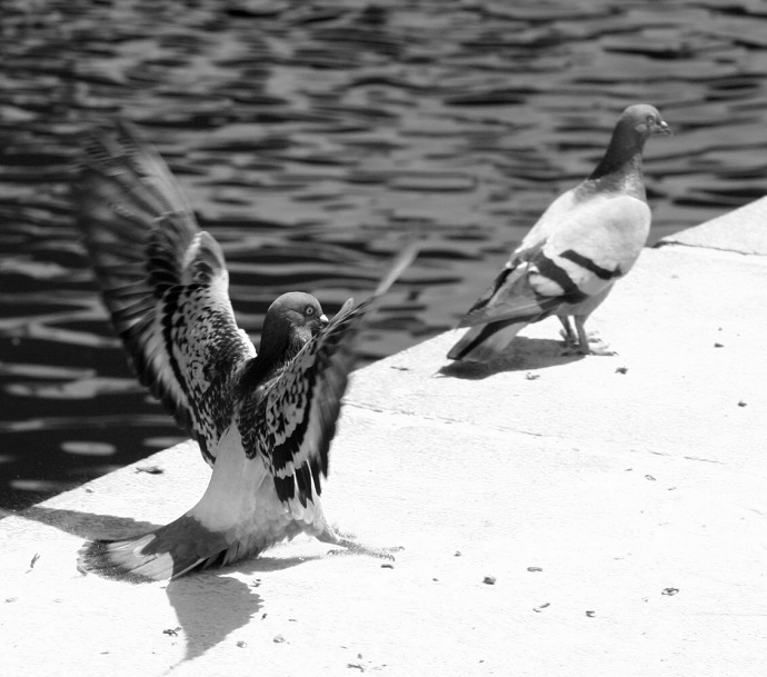 Neotacej se ke me zady, kdyz s Tebou mluvim... !!!