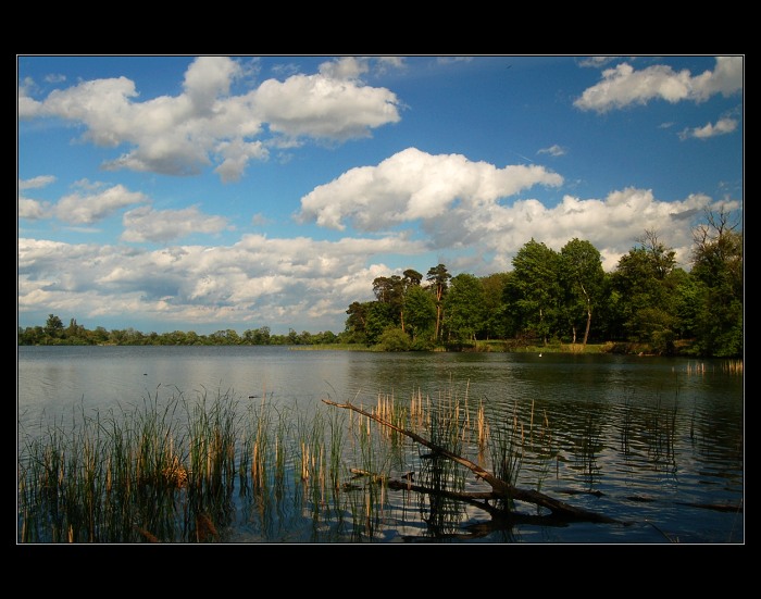 RYBNIČNÍ I