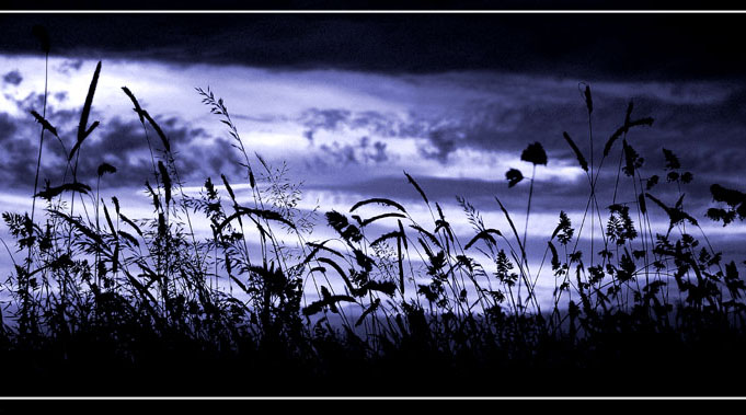 Forsaken
